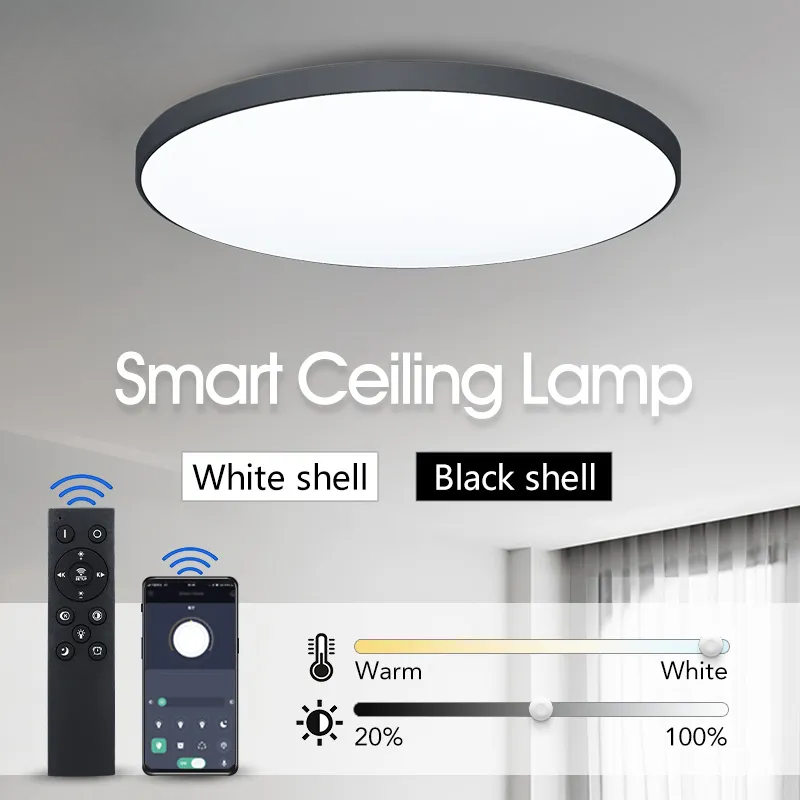 Smart Ceiling Led Lamp for Bedroom